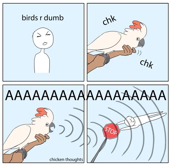 #birb 