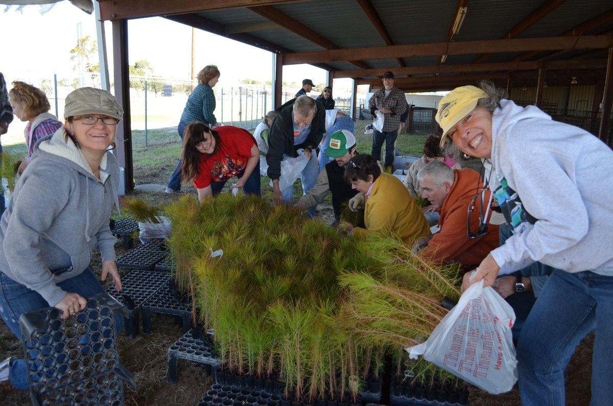 TreeFolks's tweet photo. From Val: Our pine sapling giveaway is this Saturday, Jan 12 at 10am at the Bastop 1832 Farmer's Market, in partnership with Bastrop County. You must be a Bastrop County resident to qualify, so please bring proof of address. Visit https://t.co/MUAUEdsPPN for more information. https://t.co/zdyZ66MM5L