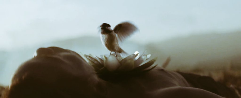 Luscasreal's tweet image. Eu realmente não tenho palavras para descrever esse clipe maravilhoso está realmente perfeito 
#SatisfactionVideo