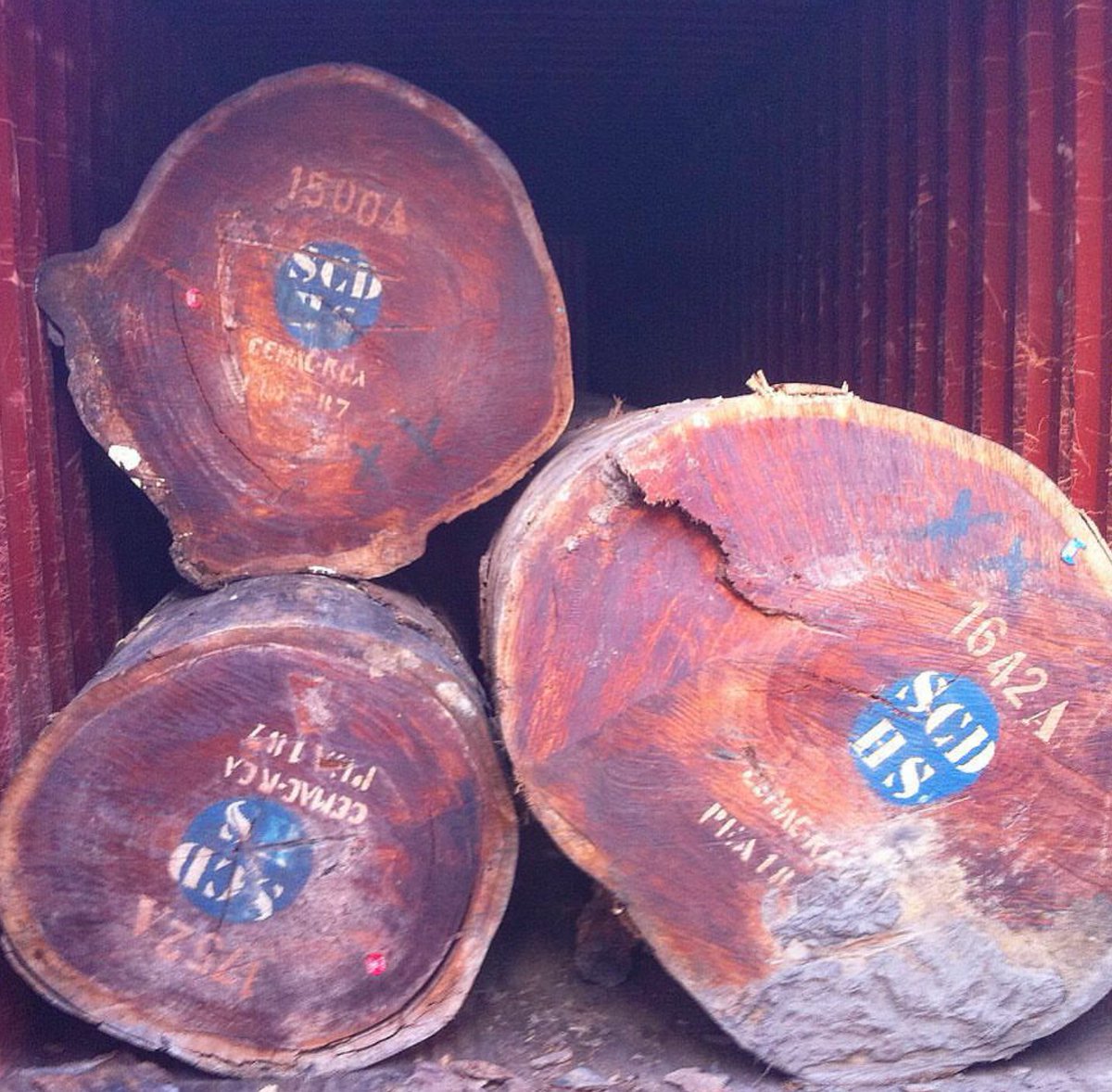 AfricanHardWood's tweet photo. Have you ever thought of importing timber from Cameroon? This is an opportunity Lafcon Tropical Woods is ready to supply you the best quality wood both in round logs and sawn timber whatsapp @ +23771134254 for more details https://t.co/6EUtHJO3Ka
