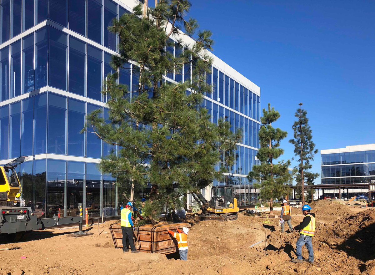 PeiCobbFreed's tweet photo. Spaces, buildings, and landscaping are rapidly taking shape at #SpectrumTerrace — the #nextgen @IrvineCoOffice campus in #SoCal. @lpainc #OrangeCounty #livework #futureofwork https://t.co/3BCarRDQgN
photos: @hdcco https://t.co/Fv314xApWL