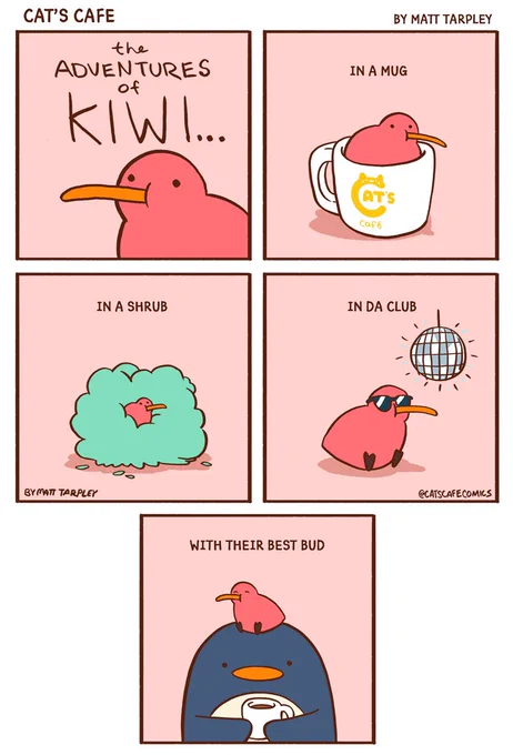 The Adventures of #Kiwi 
