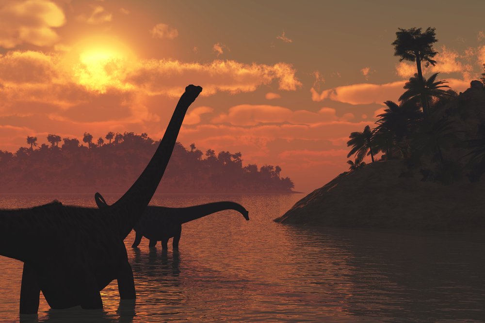DiscoverMag's tweet photo. In the time of the dinosaurs, the day was just 23 hours long

https://t.co/ts2hHubIg6 https://t.co/PQY0aswVwQ