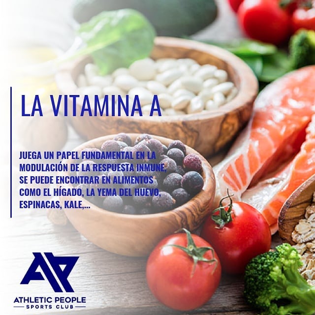 AP_SPORTSCLUB's tweet photo. La vitamina A, juega un papel fundamental en la modulación de la respuesta inmune,
Más información en:

https://t.co/OrOuFsCSdY

#tips #recomendaciones #salud #nutrición #dieta #sistemainmune #ApSportsClub #AthleticPeople #GenteÚnica https://t.co/txP3rlE8ry
