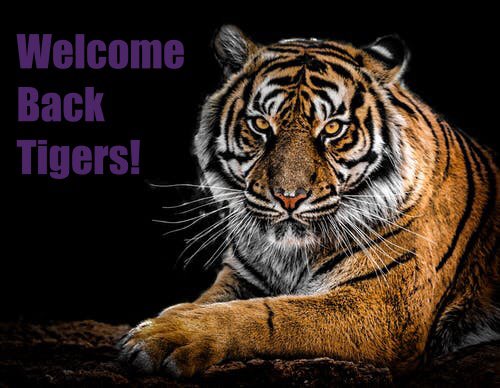 SHRMatLSU's tweet image. Welcome back tigers! Hope everyone has a great 1st day back. The meeting dates for this semester will come out soon so be on the look out #SHRM #geauxLSU