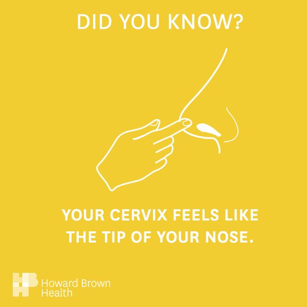 Howard Brown Health Ar Twitter Your Cervix Changes Over Time And Will Become Soft Or Firm Throughout Time Your Cervix Can Feel As Firm As The Tip Of Your Nose Or As