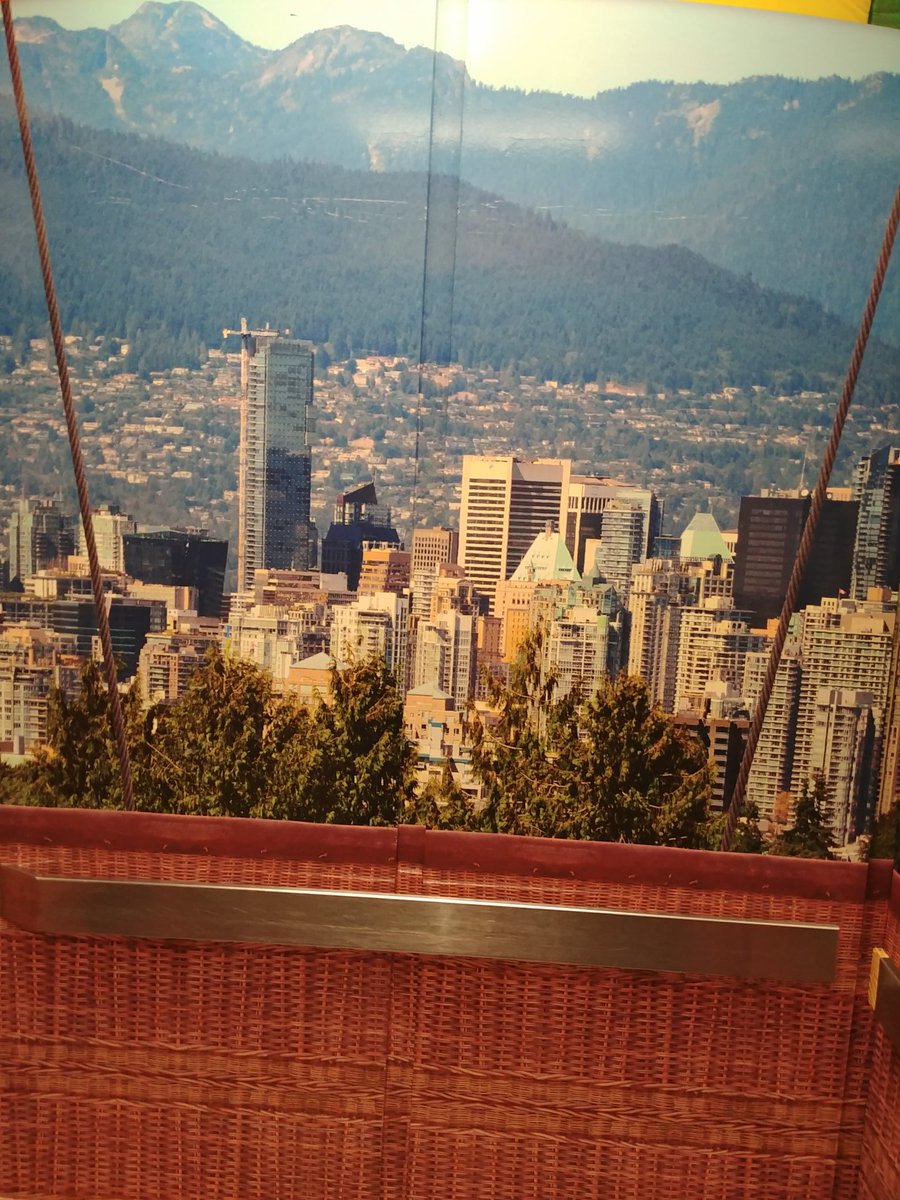 Kathleen Burton tweet media