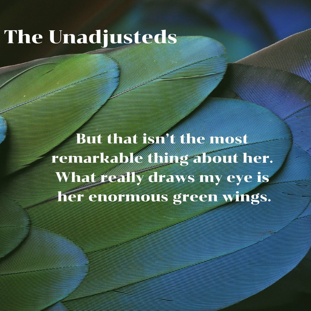 MarisaNoelle77's tweet photo. #TheUnadjusteds - a world where DNA can be manipulated - 

#books #coming2019 #YA #dystopian #scifi #geneticmodification #amwriting #writmentor #birds #wings #flying https://t.co/Xjd92Ri7AC
