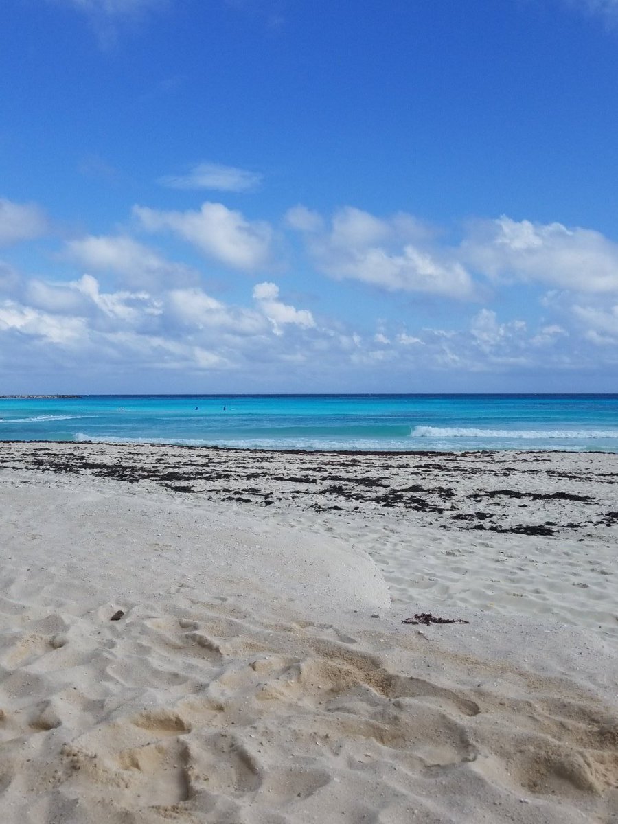 Que tengan un excelente día.