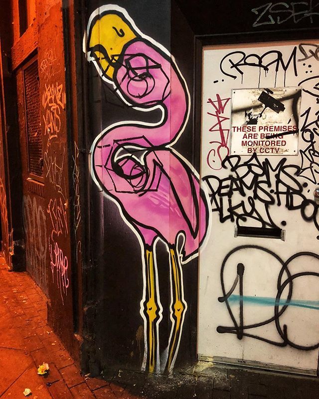 wandrlustnlife's tweet image. Be a flamingo in a flock of pigeons! Who is with me?! 💕 #timeoutlondon #exploringlondon #mysecretlondon #mylondon #londongram #secretlondon #explorelondon #prettylittlelondon #mytinyatlaslondon #wonderlustlondon #prettylondon #londoncitylife .
.
.
.
… bit.ly/2RDMcOF