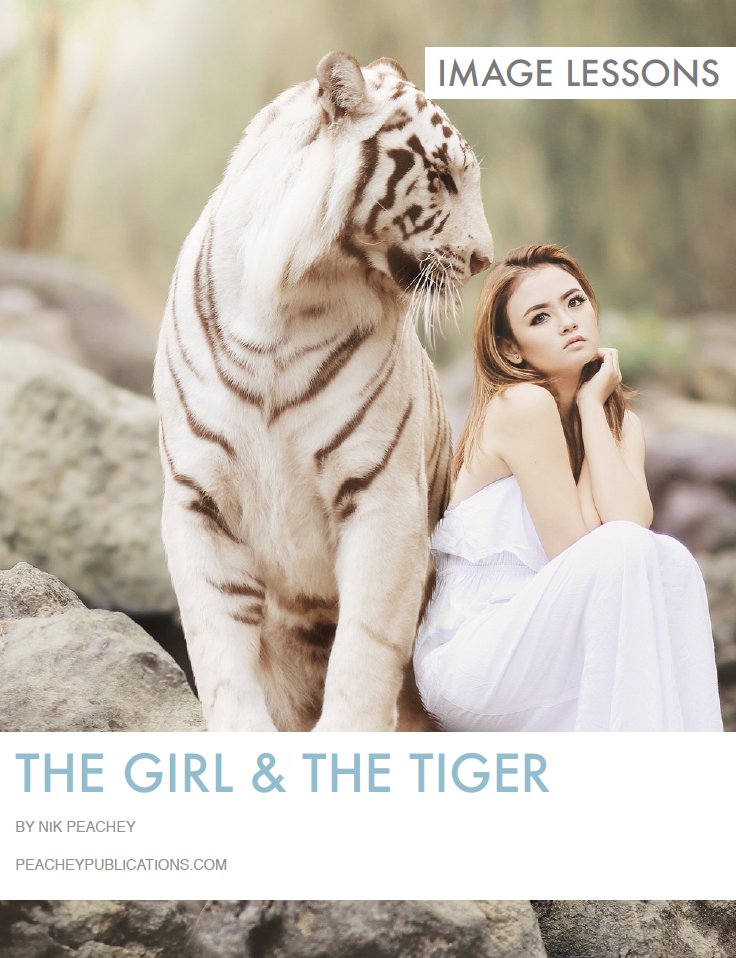 The Girl & the Tiger - Lesson Plan bit.ly/2DK06YV As well as vocabulary, the plan can be used to practice 'present continuous', #presentperfectcontinuous or #secondconditional There are some suggestions for digital research and creation follow-up tasks  #elt #tesol #eal