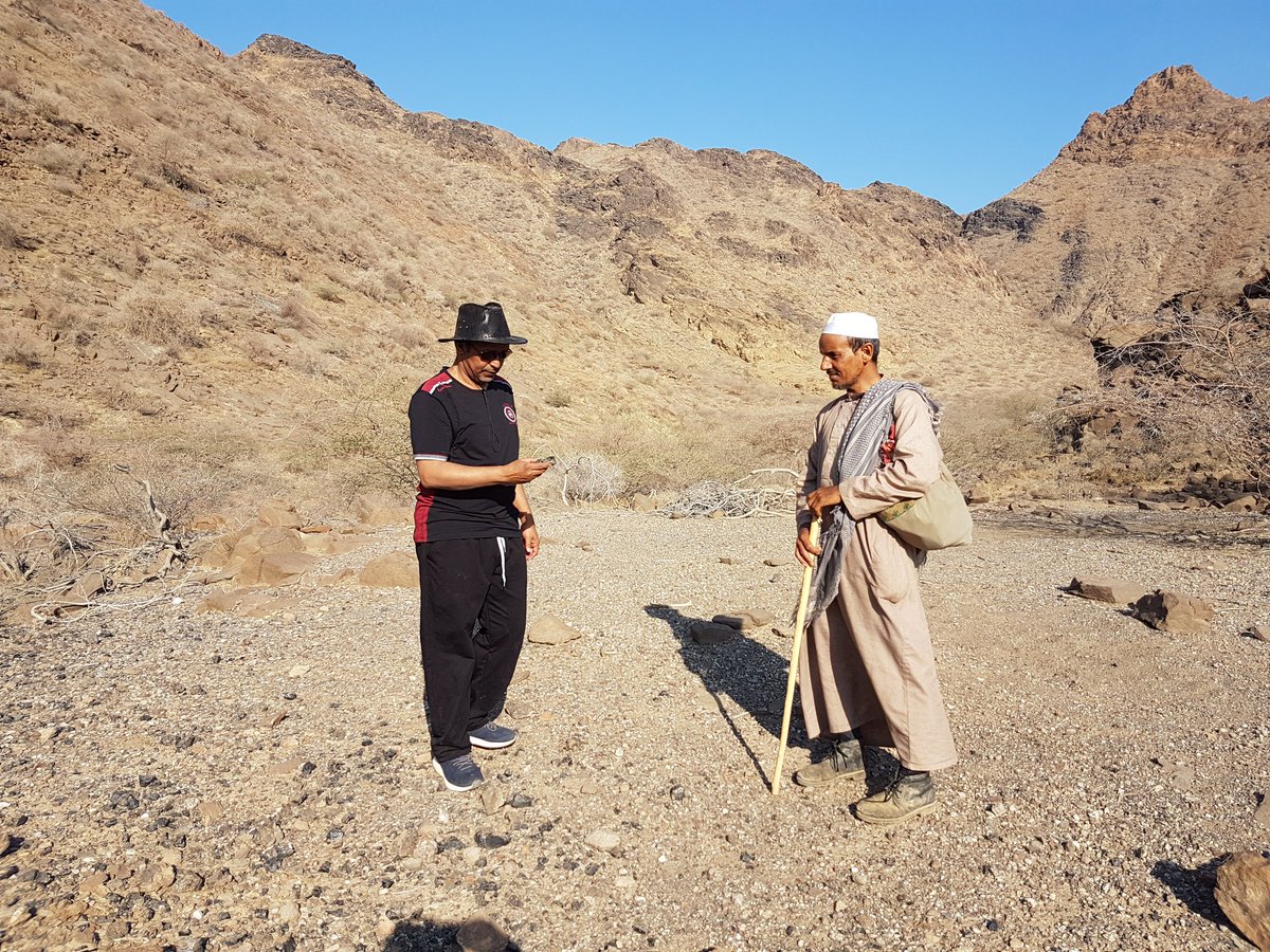 ناصر الشدوي tweet media