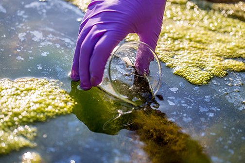 CSIN_RCID's tweet photo. Want to learn more about #SmartTech and how it can be used for improved watershed management in Canada? #BigData  #Blockchain #ArtificialIntelligence #watersheds 

Register for our webinar on January 22 at 11:30am CST. 

https://t.co/lYX90ctoa1 https://t.co/bijxjD7gVG