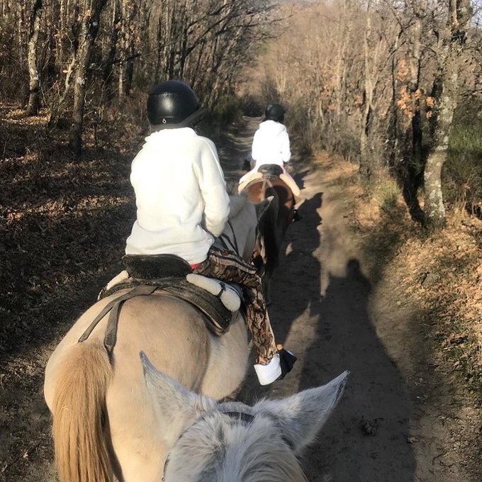 Oleee 🔥 https://t.co/TJFNJ3RbAv<a href="/tag/swipedat"class="tags"><span>#swipedat</span></a>