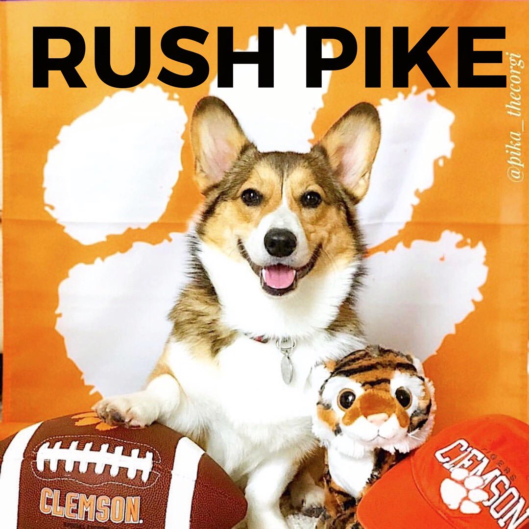 Pika says RUSH PIKE. Do you know a man who would make a good Pike? Refer him to us, see the link in our bio.