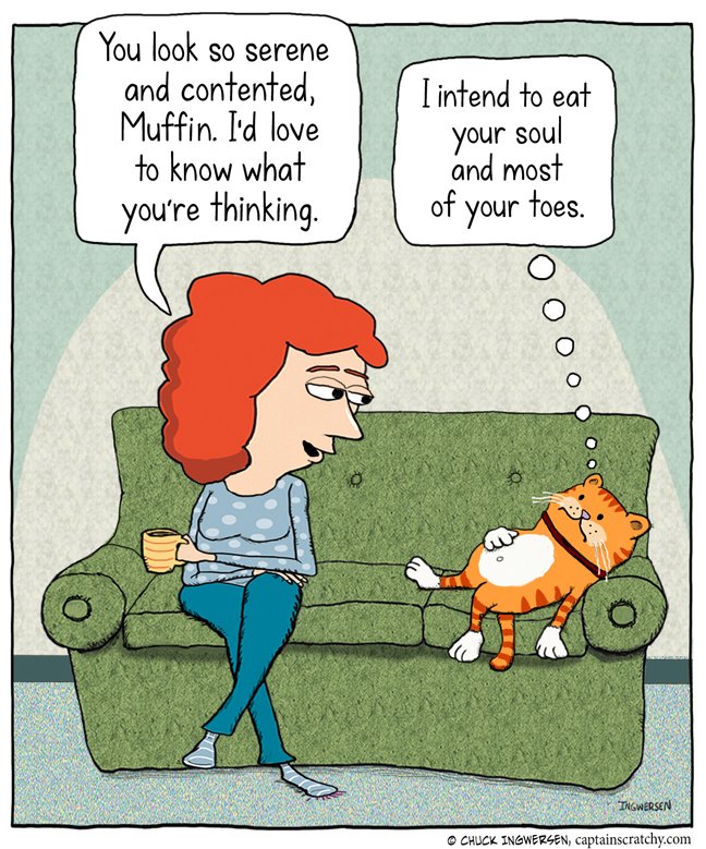 Just realized I haven't tweeted in a year, and yet I've been posting my cartoons on Instagram every day. Follow me there? instagram.com/captainscratch…  #cartoons #cat #cats #cartoon