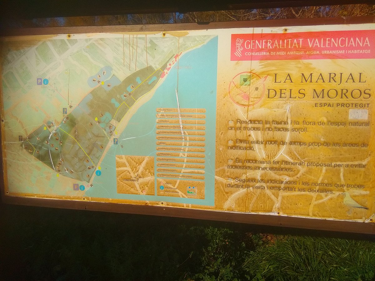 Vince7616's tweet photo. Aquí os dejo un panel direccional de la "marjal del moro" en bastante mal estado y una mesa panorámica "de pena" está claro que no hay apoyo publico#SIT2018señalización https://t.co/dFxbRAKoJ9