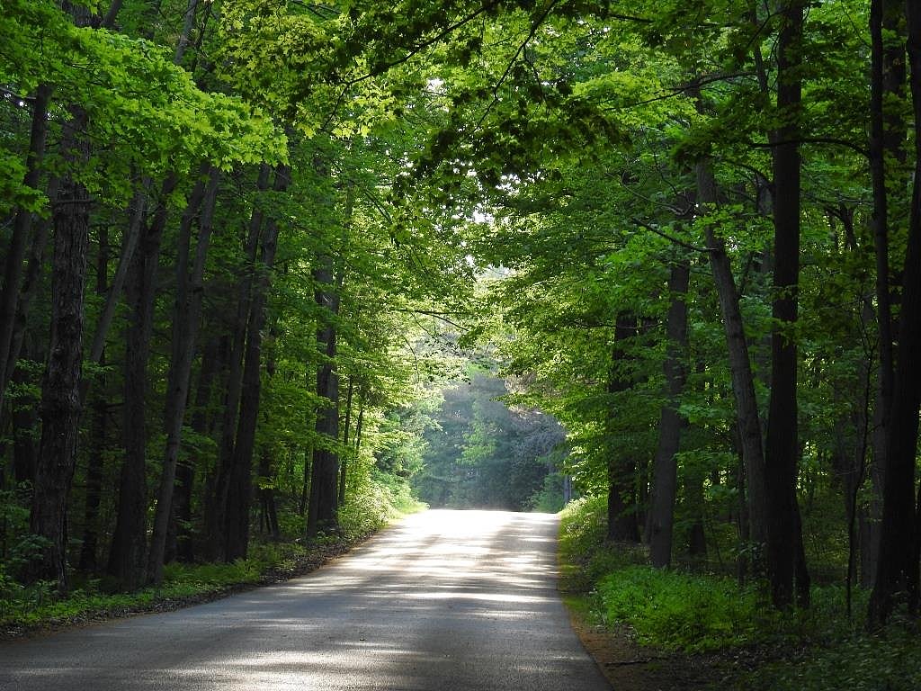 Brighton Events! tweet media