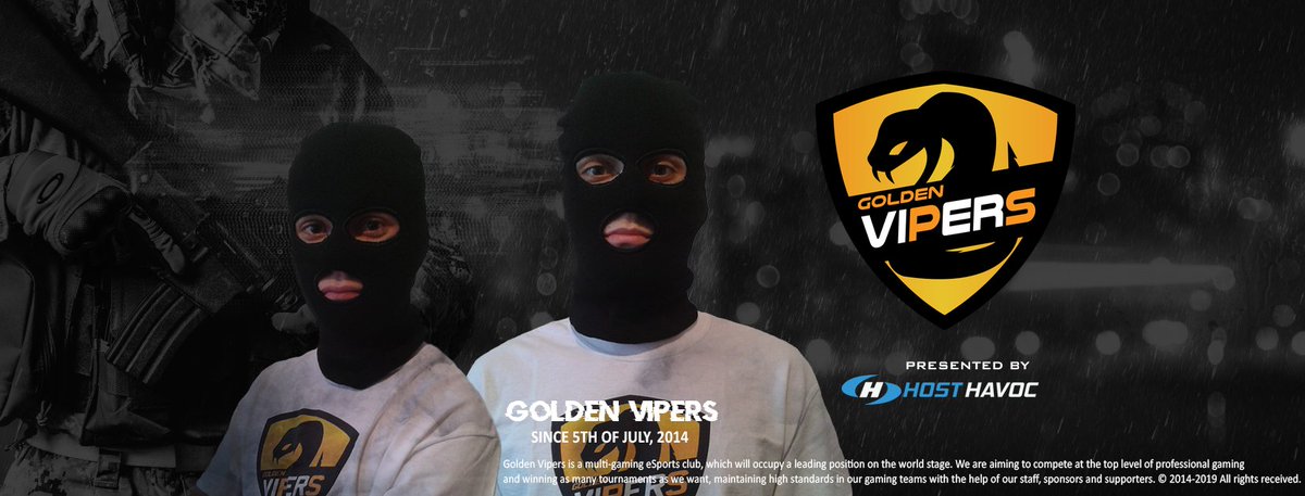 Shootout to you, <a href="/HostHavoc/">Host Havoc</a>! An exceptionally high standard for quality only on HOSTHAVOC.COM! #GoVipers