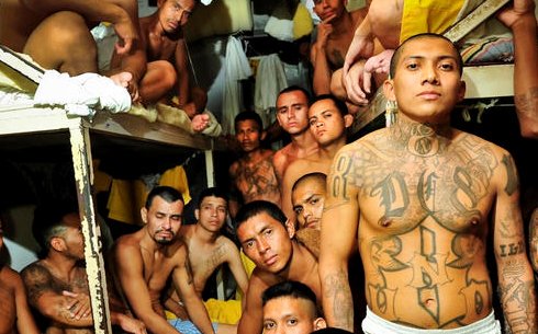 mayatitos's tweet photo. #FILIASYPARAFILIAS
Hibristofilia: Cuando te sientes atraído por hombres a los que otros temerían, como delincuentes, exconvictos, presos. https://t.co/UIA78nG2Ui