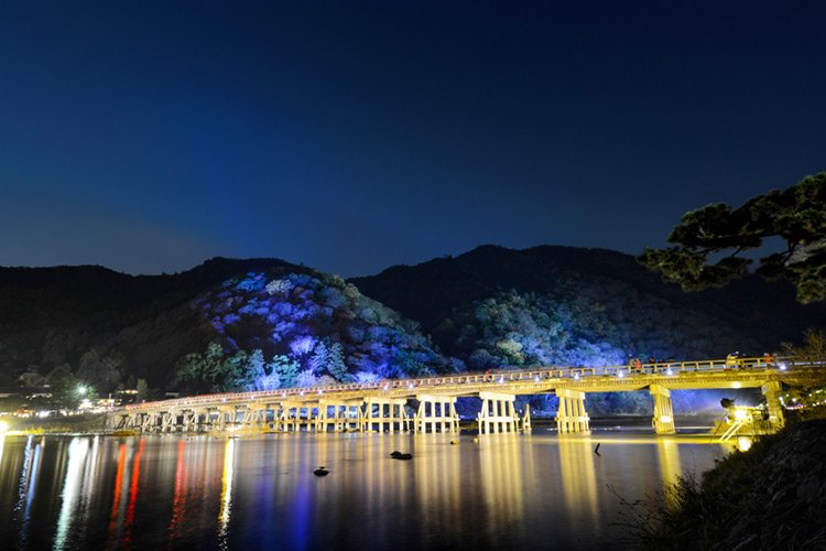 roadsandridges's tweet photo. If you ever find yourself in Kyoto in mid-December, be sure to include an evening visit to Arashiyama during the Hanatouro Night Illumination event. The beautiful sights and magical atmosphere make it a special time of year: https://t.co/2EuXGOigLX https://t.co/rb1PY4FuKm