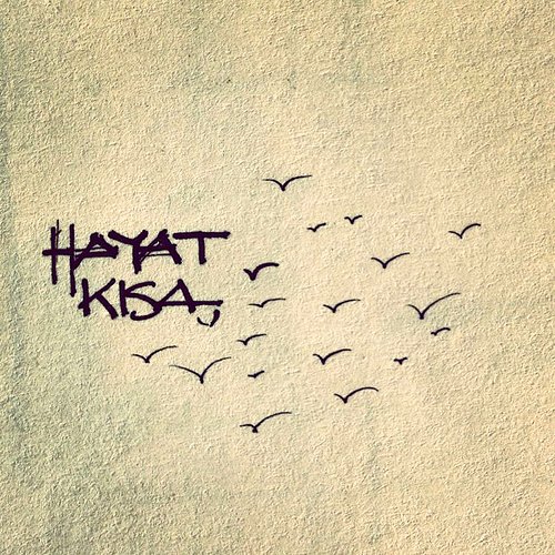 gulgun_ozl's tweet photo. Elbette seviyorum kendimi.
Kaç kişi kaldık şurada.
Umutta inatçı,
Sevdalı,
Vefalı,
Tutkulu..?
#cokseviyorum
#umudum #hayatdolu #BirHayalimizVar
#GeceyeNotlarım #ben #bitti #demeden #bitmez #kendimesözümvar # https://t.co/xsJeDZpiPB