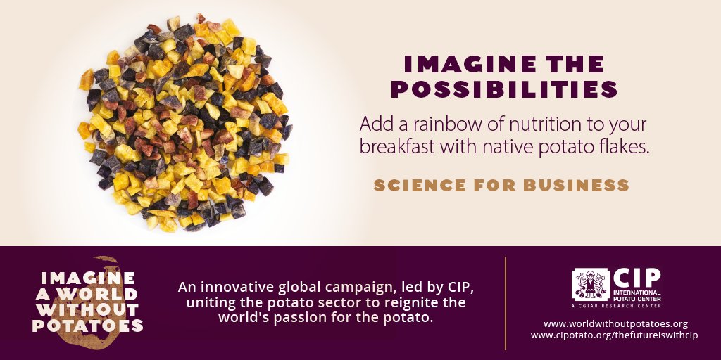 ImagineNoPotato's tweet photo. #Cereal is one of the top selling products in supermarket shelves in North America. So why not include #potatoes and make cereal a highly nutritious one too? #Imagine the possibilities. #ImagineAWorldWithoutPotatoes @Cipotato @POTATOEXPO @PotatoPro https://t.co/1JwXgrKNU4