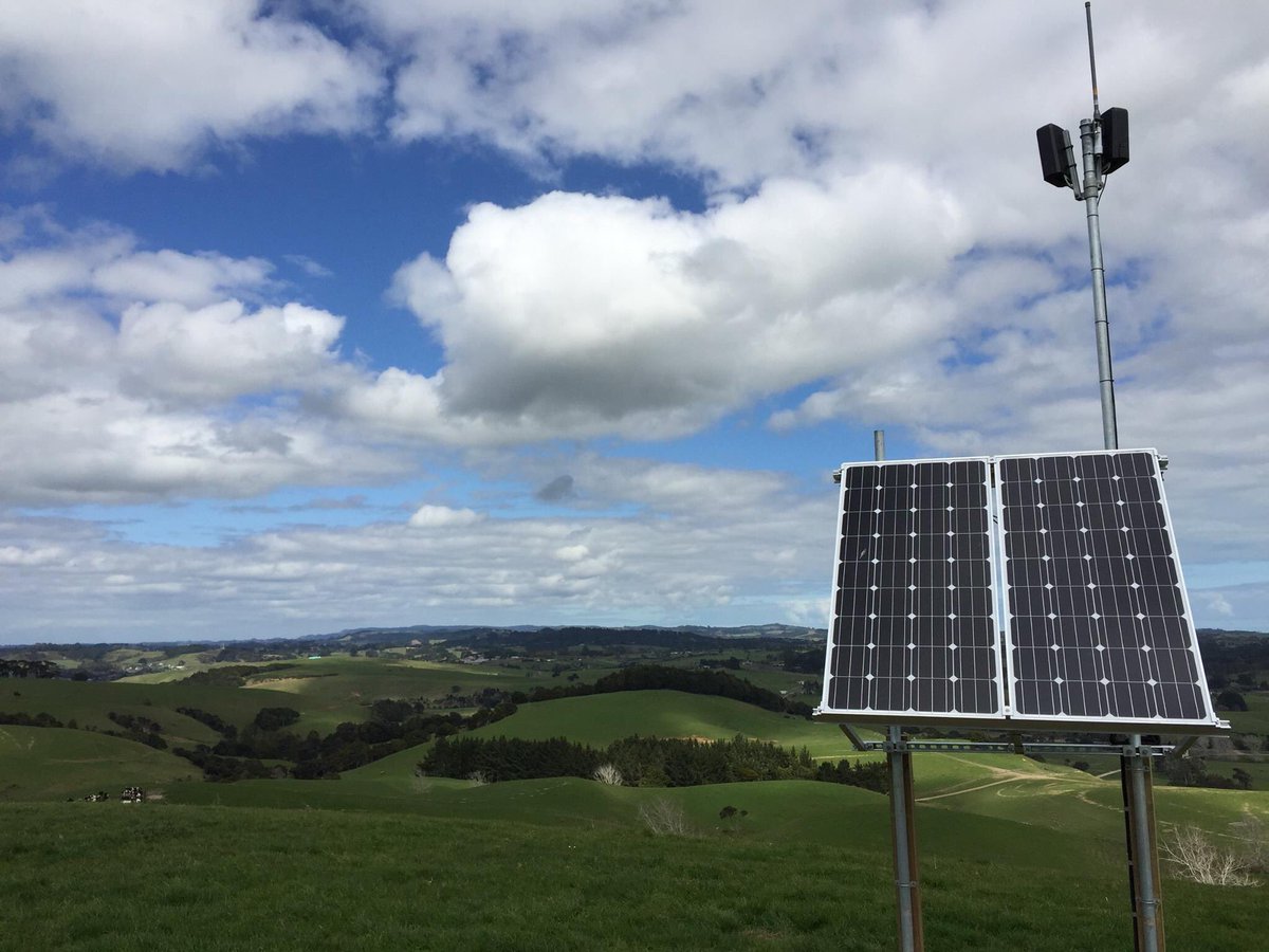 EveryCow tweet media