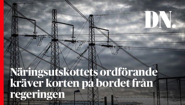 Näringsutskottets ordförande kräver korten på bordet kring hur Svenska kraftnäts vd Ulla Sandborgh agerat.
dn.se/nyheter/sverig…