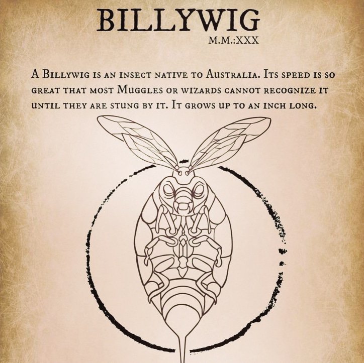 XpectoGO's tweet photo. Happy #wizardwenesday today we feature the #fantasticbeasts BILLYWIG🐝 M.O.M.❌❌❌
If you live in Australia you might see this regional beast in @hpwizardsunite
#WizardsUnite #hpwizardsunite #billywig #niantic #wizardingworld #wbgames #pottermore #ministryofmagic https://t.co/hauAwGLNGR