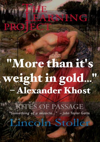 lincolnstoller's tweet image. #TheLearningProject,  Rites of Passage shows life as it really is: organic, not linear,  and so is time. It does not make just one kind of sense. 5-star on Amazon. Read in print, digital, or free online bit.ly/LearningProj #ian1