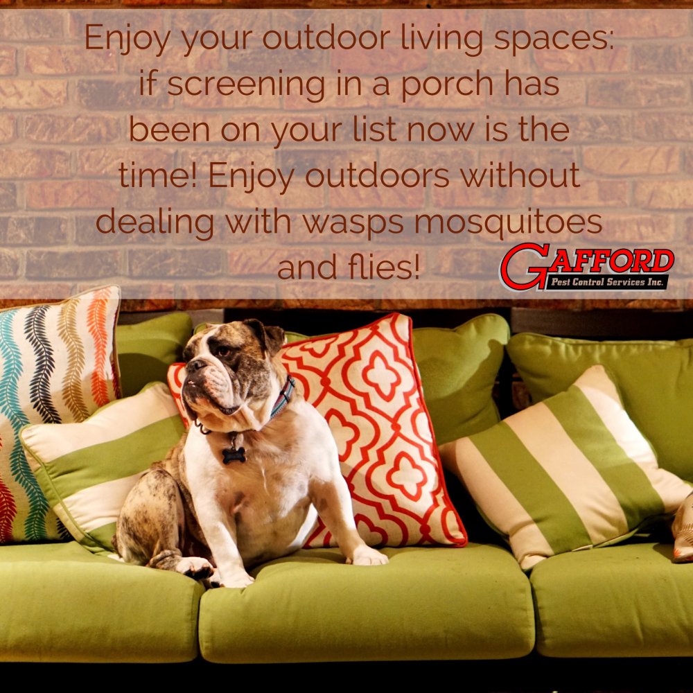 GaffordPest's tweet photo. https://t.co/GyswaDD0AD