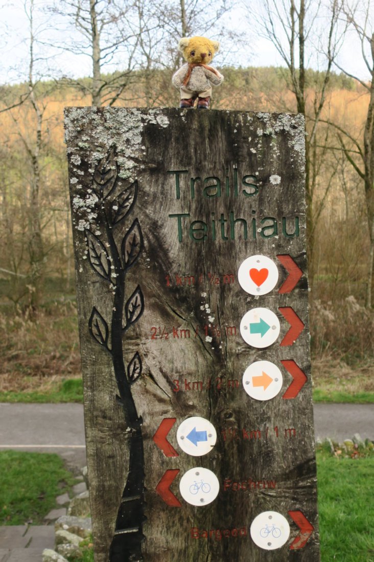 Which way do we go? Which way do we go? #FurryTails