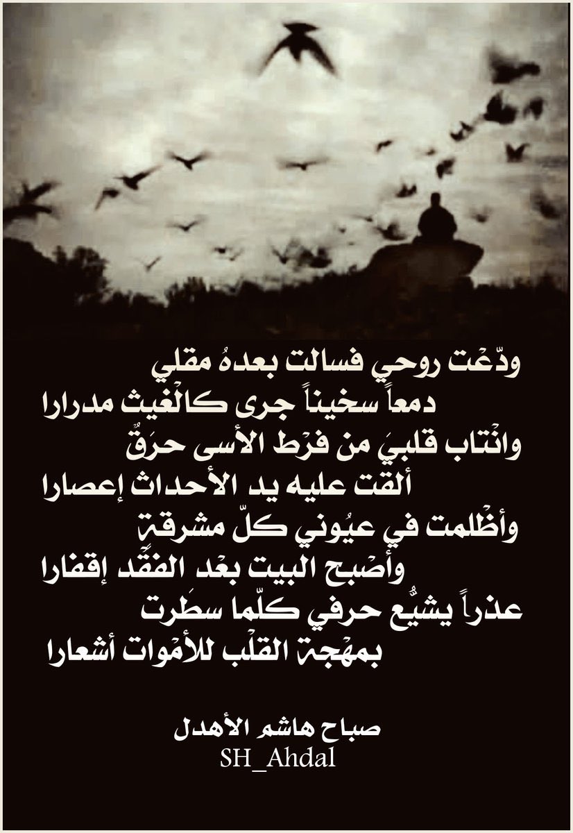 lailagaze's tweet photo. https://t.co/Qqgh2cDhQl