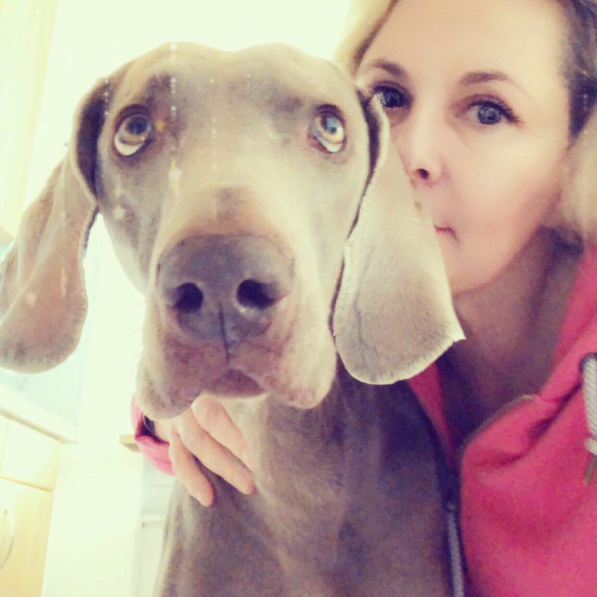 KuijkML's tweet image. ❤️💖❤️💗💕