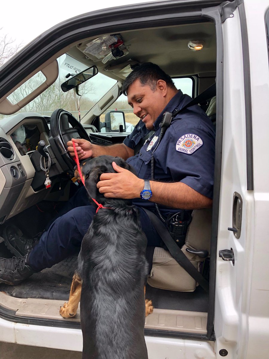 PetsPasadenaTX's tweet photo. We'd like to thank our Animal Control Officers for all they do--rescuing injured animals, investigating cases of neglect &amp; abuse, reuniting lost pets with owners, educating children, &amp; even repairing broken fences. #NationalLawEnforcementDay #AnimalControl #PasadenaTX #Houston https://t.co/1sbF4YRFVL