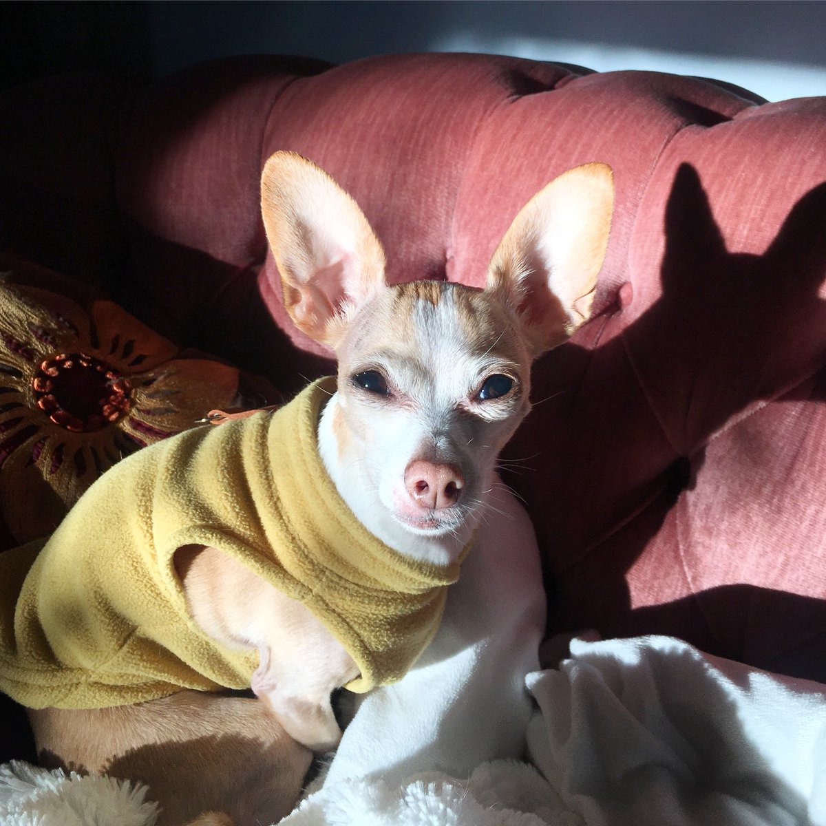 TheEdithtweets's tweet photo. Smize https://t.co/FN6MYvSbRw