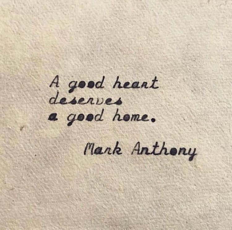 PWAP (@purseswap) on Twitter photo 