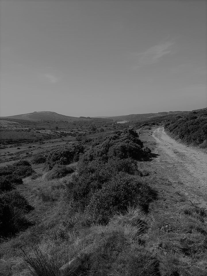 devon_training tweet picture