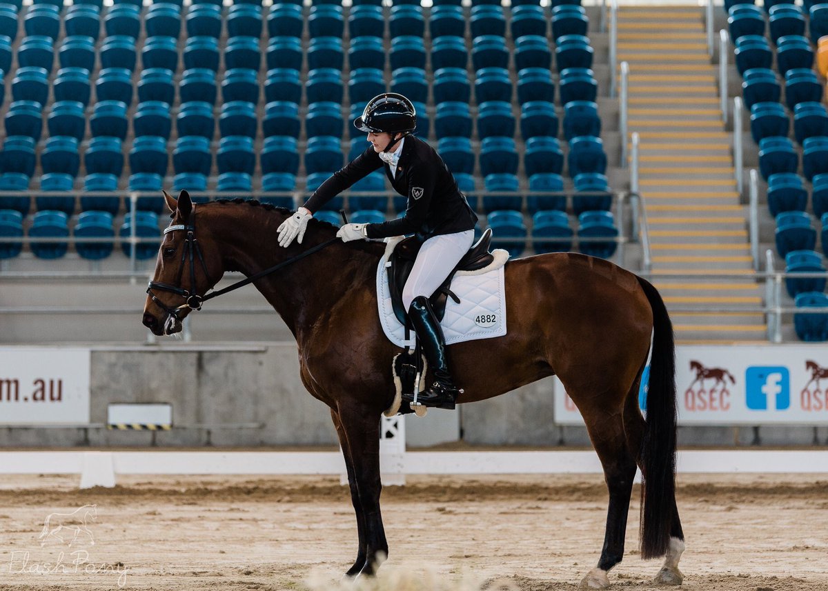 I saw in the new year doing the <a href="/RheaFreeman/">Rhea Freeman</a> #5thingsimproudof challenge on insta and decided to put them all to together in one place 
thesandarenaballerina.com/2019/01/5thing…
#HorseBloggers #equineblogshare #thedressagehour #HorsechatHour