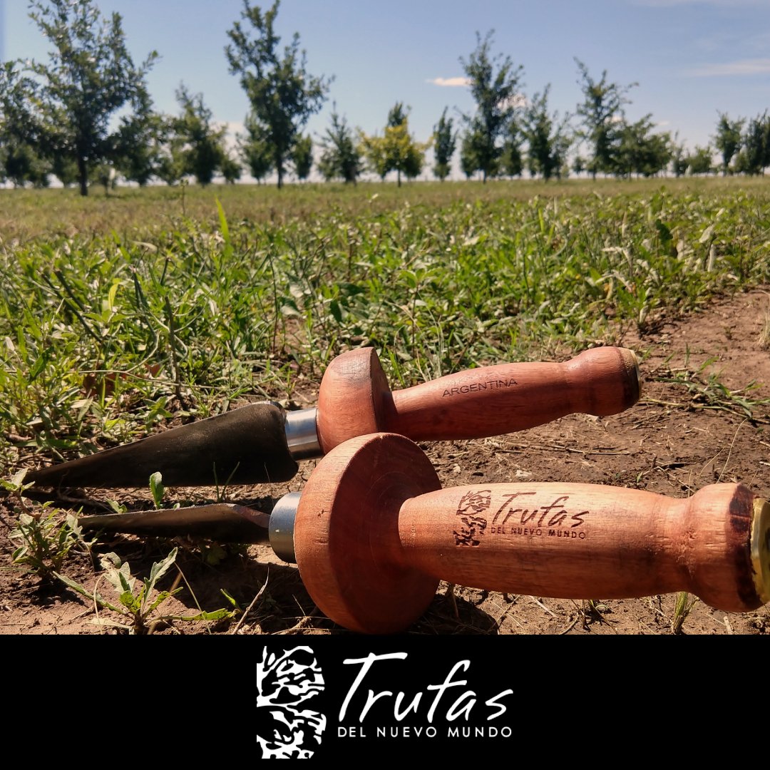 ¿Sabías que para recolectar nuestras trufas utilizamos esta pala trufera❓ La mano experta de nuestros recolectores permiten que las trufas puedan ser encontradas sin ser dañadas por esta bella herramienta  trufera realizada artesanalmente.🌳❤️🐶😃
#TipsTruferos #trufanegra