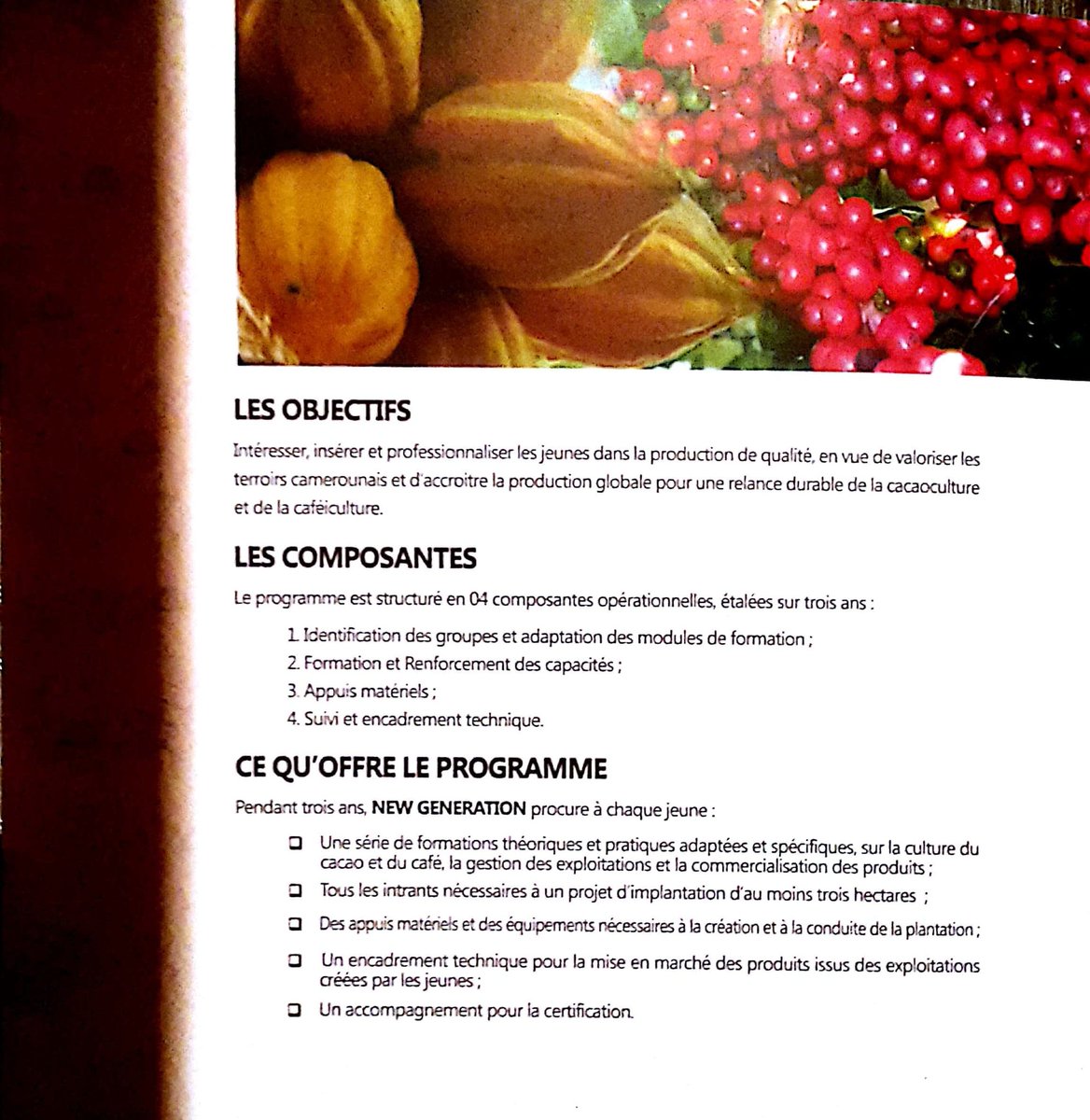 adambita237's tweet photo. Programme New generation by #CICC
L'AVENIR DES #FILIÈRES #CACAO ET #CAFÉ DU #CAMEROUN.
#ModulesDeformation
#AppuisMateriels
#EncadrementTechnique
Newgeneration
#JaimeLeCameroun 
#FilièreCacao, #CacaoCameroun,#CaféCameroun https://t.co/QAWZlqSZGH