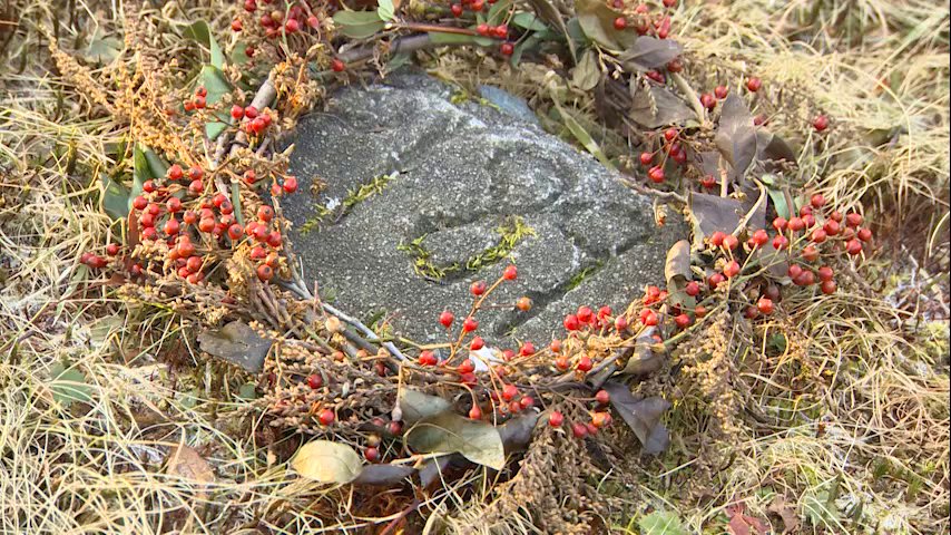Chronicle5's tweet photo. Anonymous graves for the forgotten in Waltham. Students @GannAcademy and teacher @KevinLevin plan to change that. "What we’re trying to do is try to bring some dignity to those who never got any of that" #markinghistory @ErikaWCVB @shaynaseymour @anthonyeverett 7:30 #wcvb https://t.co/qVaHFEF0rx
