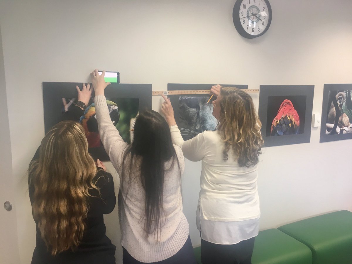 SkyhawkArt's tweet photo. Congrats to student Meghan O'Neil. Her photography is the first student work to be displayed in the new Administration Center @SkuttCatholic. Stop in to see her incredible animal portraits! https://t.co/VvGmbYPZyJ
