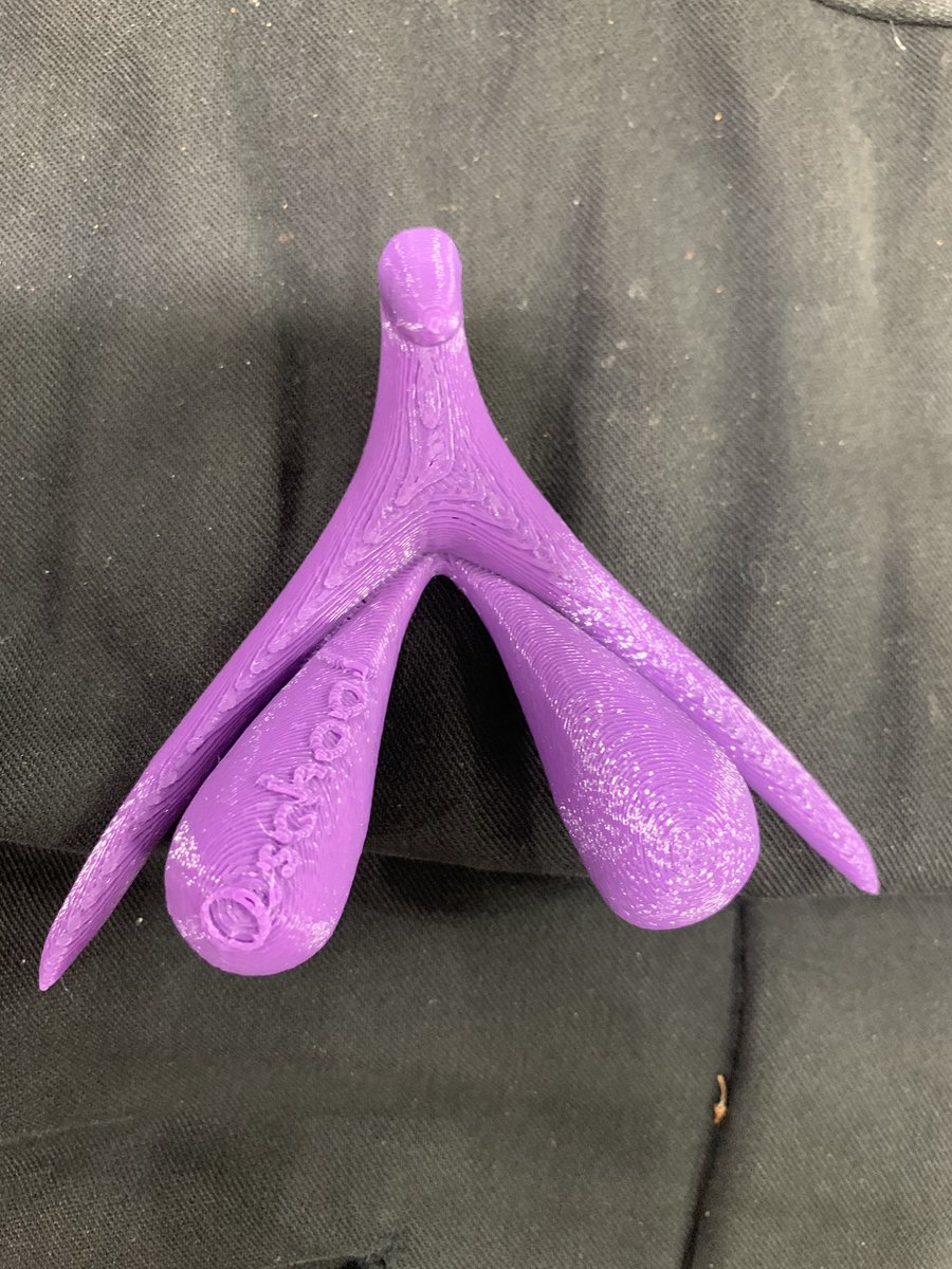 NatashaAFoster's tweet photo. Guess what this is....? Lots of bemused faces at the @femstreet event tonight as this 3D printed piece of the female anatomy was passed around #femtech #oschool https://t.co/nVfMv5vQs0