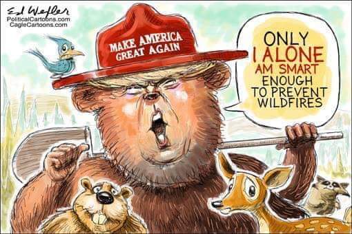 migdi's tweet photo. @realDonaldTrump Thank you for giving me the opportunity to use these memes again! Still a #DumbassInChief #DumbestAssInHistory #RakeCommand #RakeForce https://t.co/qQZNTOhWj6