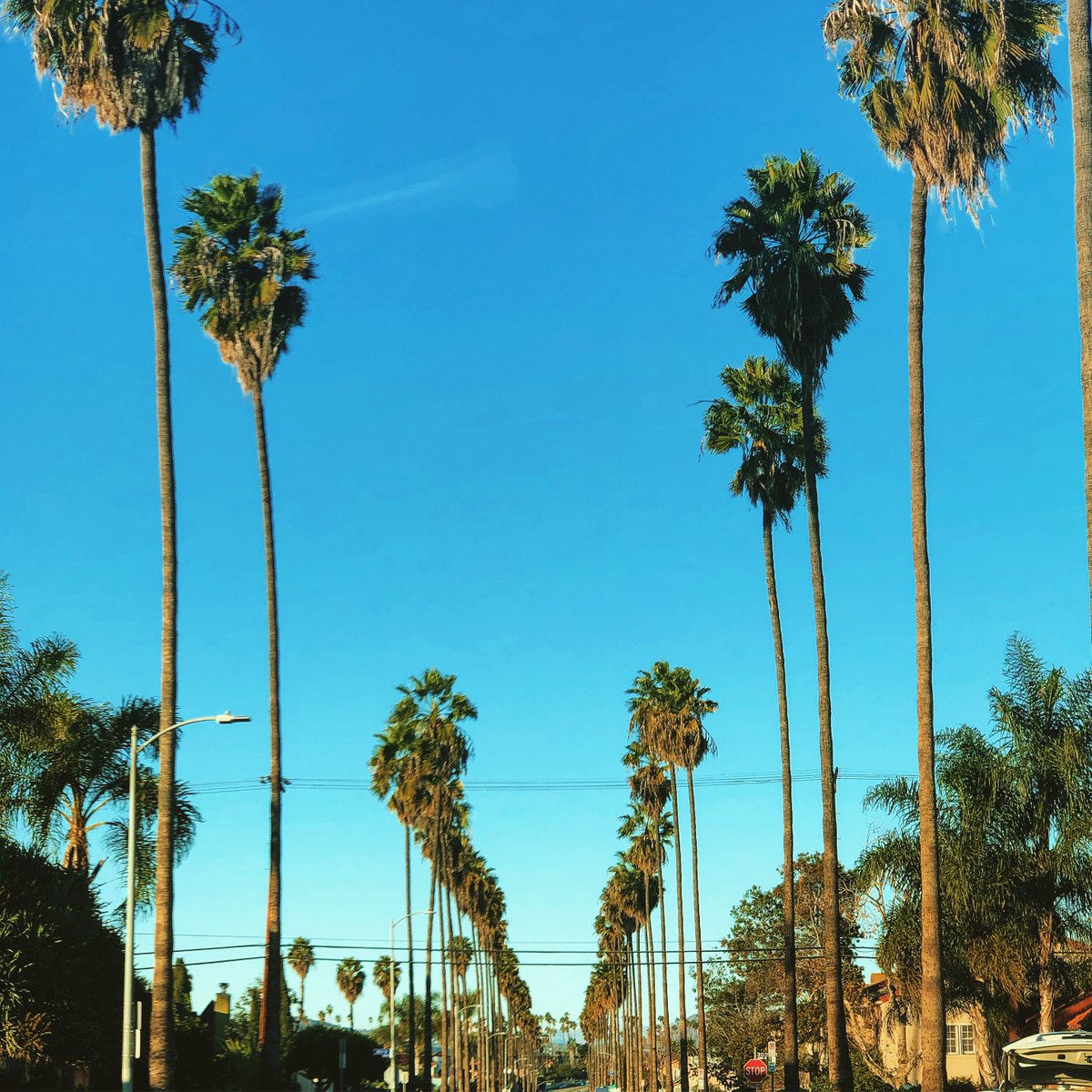 AnotherBestDay's tweet photo. Another Best Day in LA! #AnotherBestDay https://t.co/RqSNrrQvP6