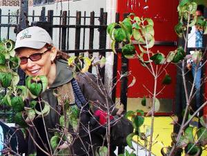 cybrarian75x's tweet image. My students wrote to each sitting mayor. And of course you @rubendiazjr. This lead to many positive outcomes. #ThankYouAll. #WritingToBeRead. #Bloomberg #TreesNewYork