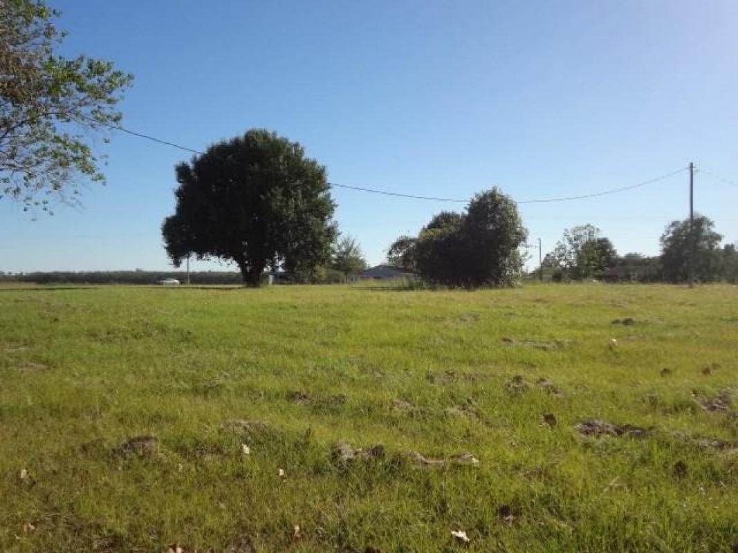 shannabraxton's tweet photo. Check out my newest listing in #Natchez! Tell me what you think!  #realestate https://t.co/V4ndZnpZEX https://t.co/XPNGlWPJYV