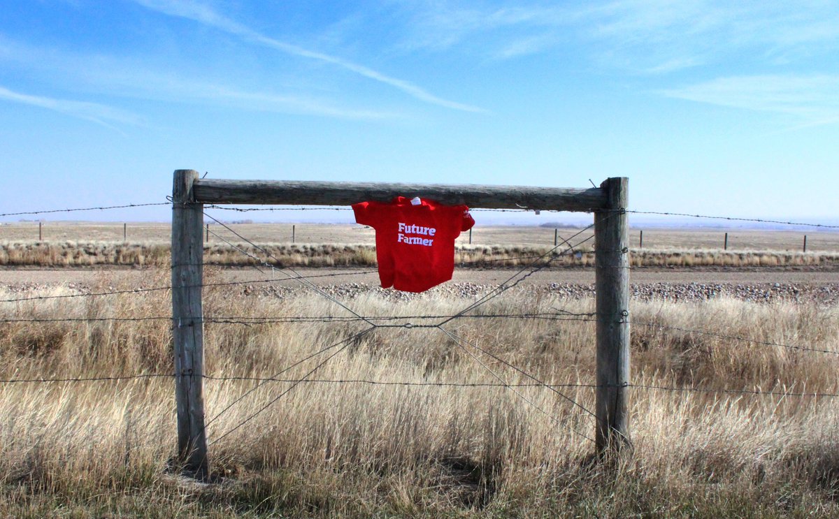 AgInformMH's tweet image. Do you have a little Future Farmer? Retweet to win them this shirt 🚜
(Size 4T)

#futurefarmer #retweet #medhat